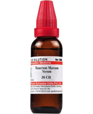 Dr Willmar Schwabe India Teucrium Marum Verum Dilution 30 CH